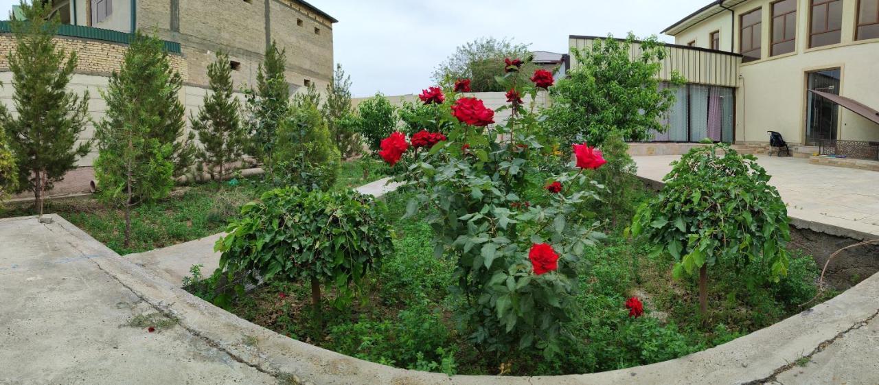 Hostel Hud Hud Buchara Zewnętrze zdjęcie